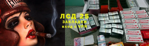 прущие грибы Алексеевка