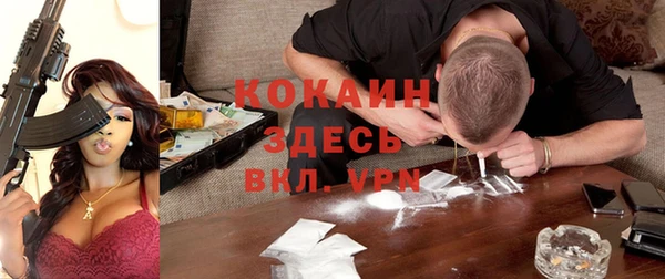 СК Алексин