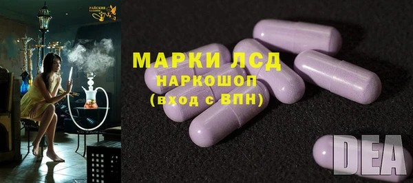 СК Алексин