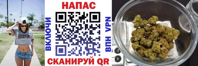 Бошки марихуана SATIVA & INDICA  Аша 